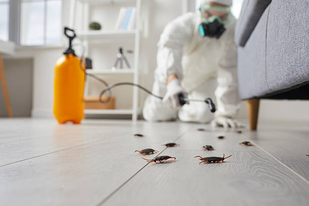 Commercial Kitchen Cockroach Control in Fall City